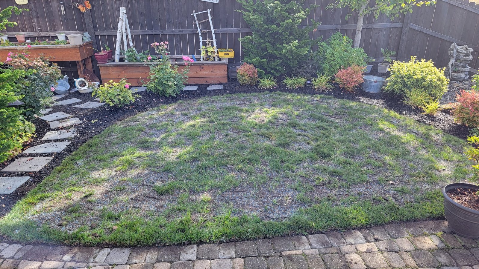 Lawn Renovation in Vancouver Washington