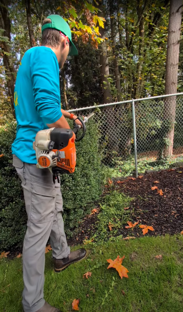 Bush Trimming in Vancouver, Washington